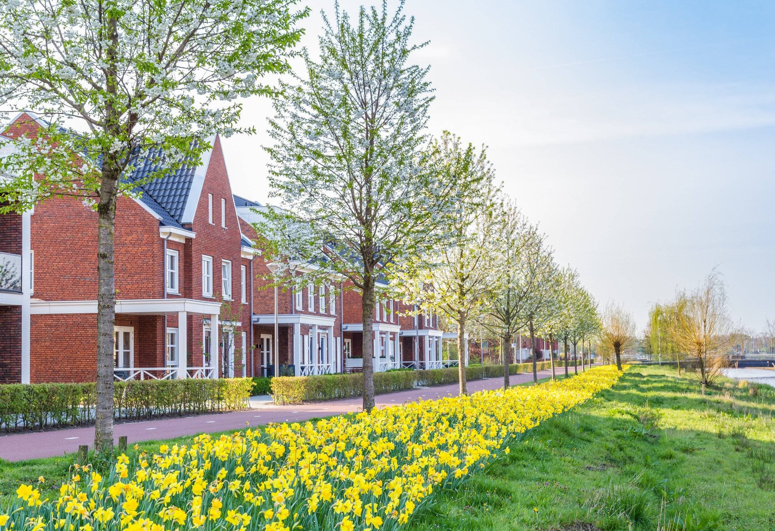 Get Your Home Market-Ready for Spring: February Checklist for Cardiff Sellers