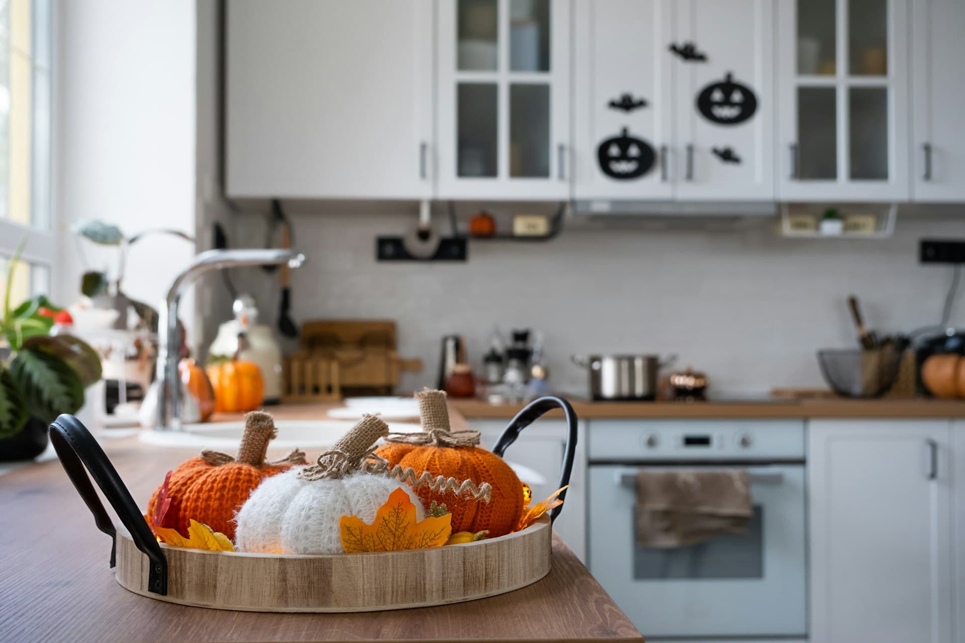 Warding Off Halloween Nightmares: 6 Spook-tacular Property Management Tips for Landlords in Cardiff