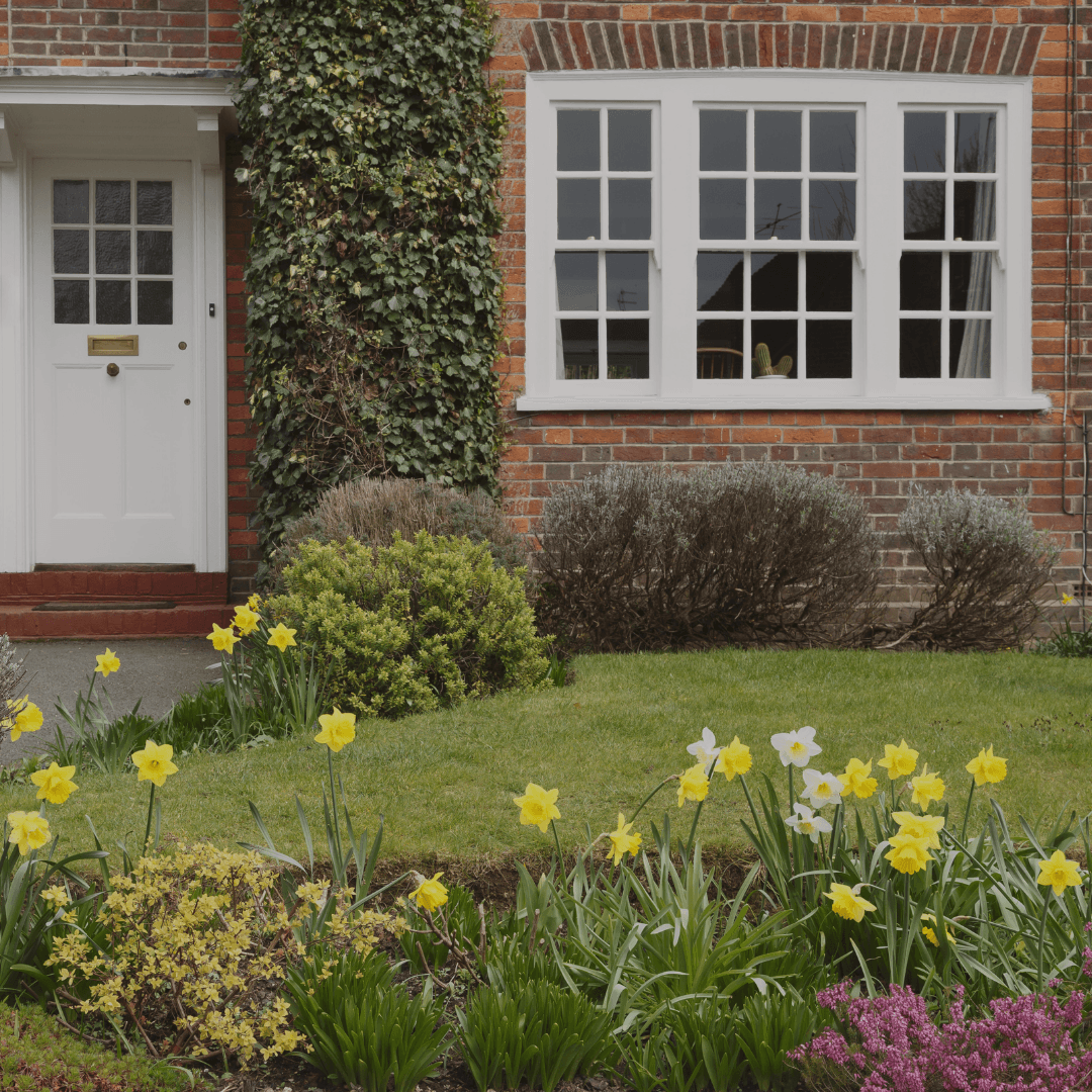 5 Plants to Improve Kerb Appeal This Spring (Cardiff, Newport & South Wales Property Guide)