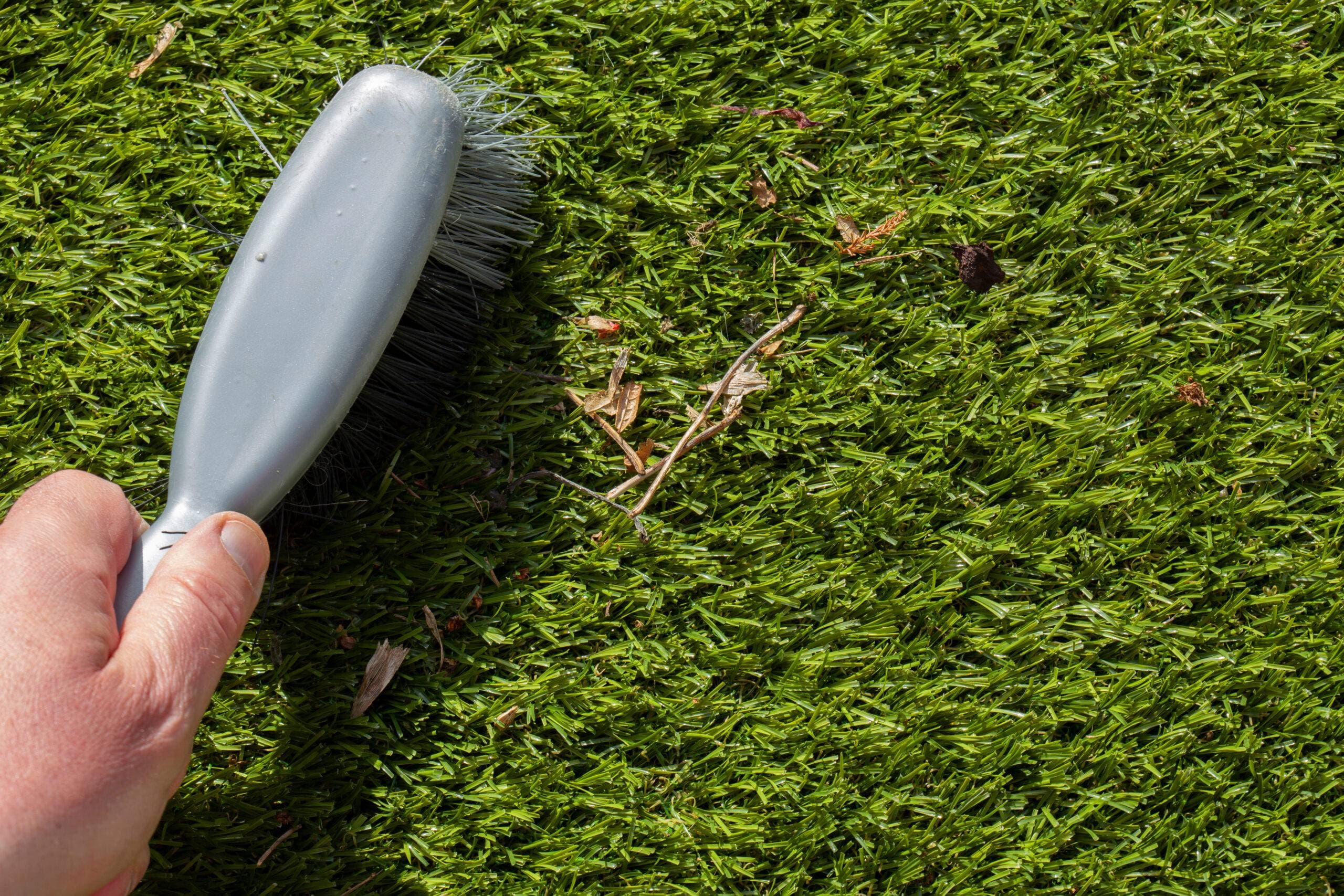 Which is Better - Natural or Artificial Grass?